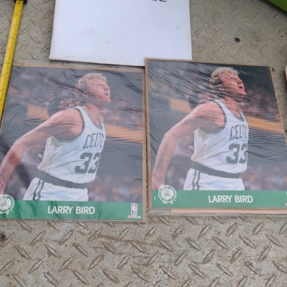 Larry Bird NBA Hoops Portraits